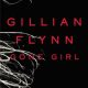 Gone Girl Flynn novel